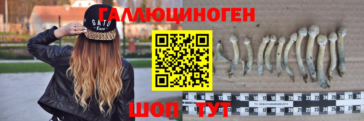 Галлюциногенные грибы GOLDEN TEACHER  Вход с VPN  Великий Устюг 